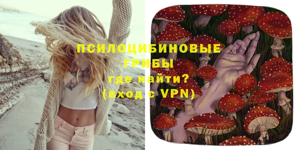 меф Белокуриха